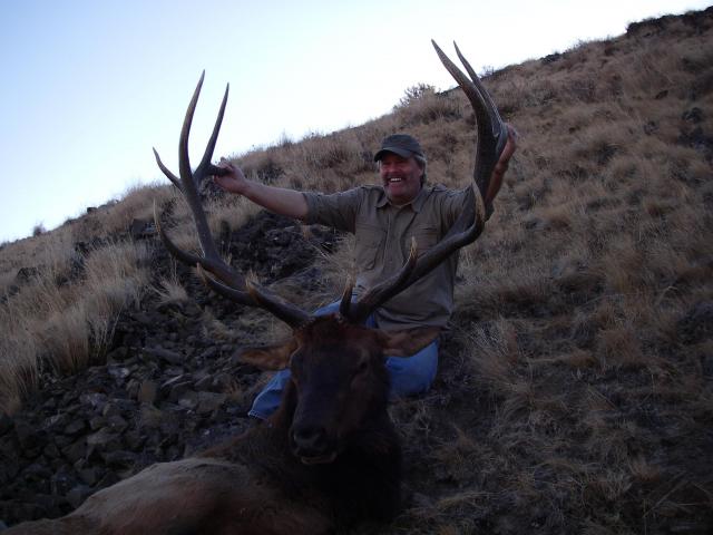 ELK HUNT 2008