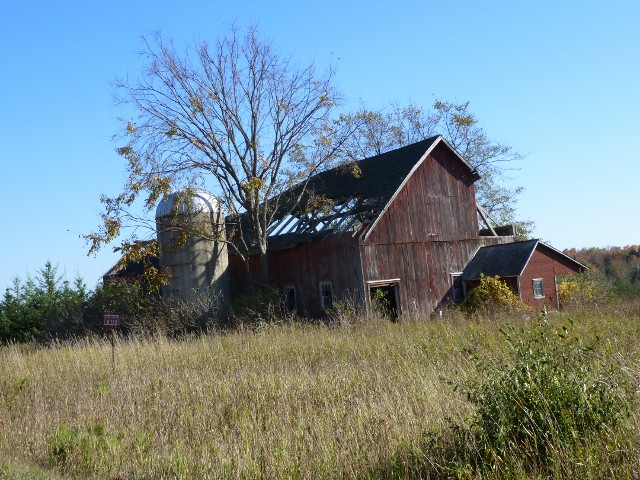 Barn under Elm