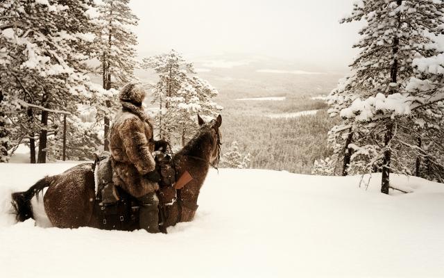 20 below with horse